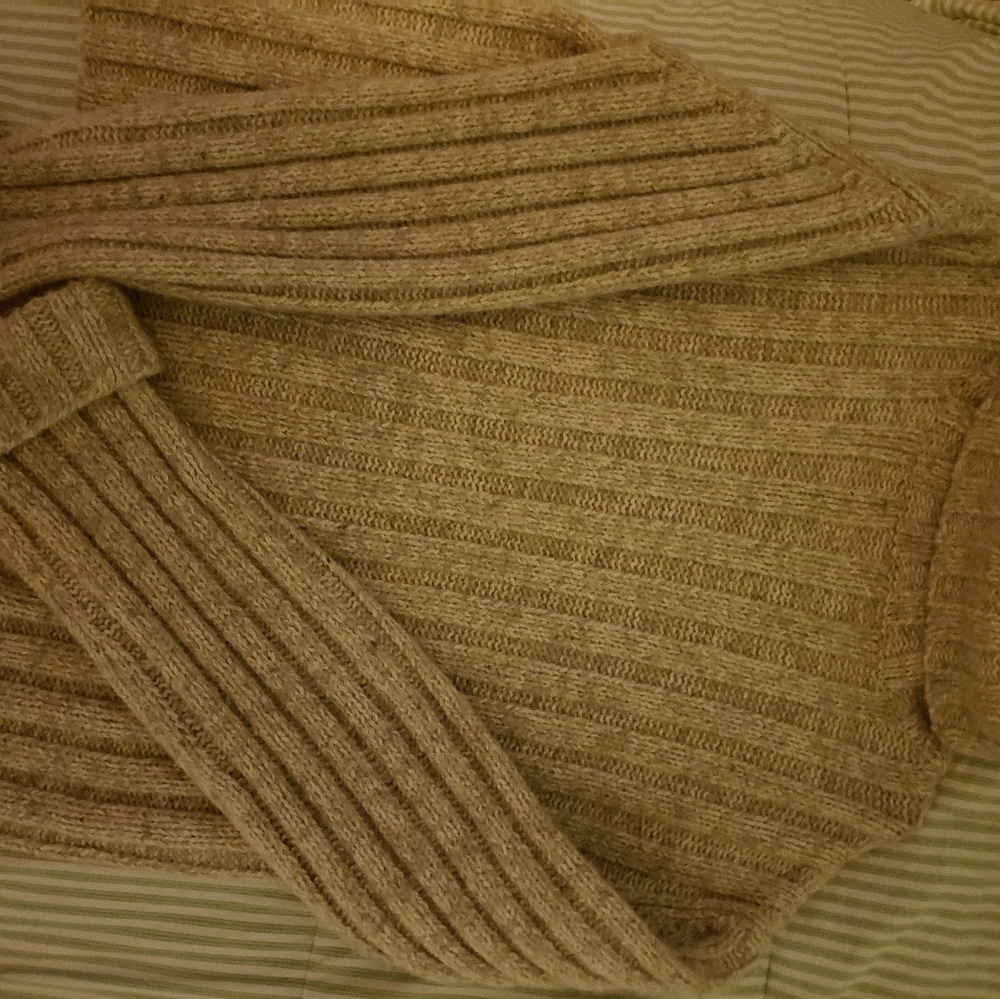 DKNY chunky turtle neck